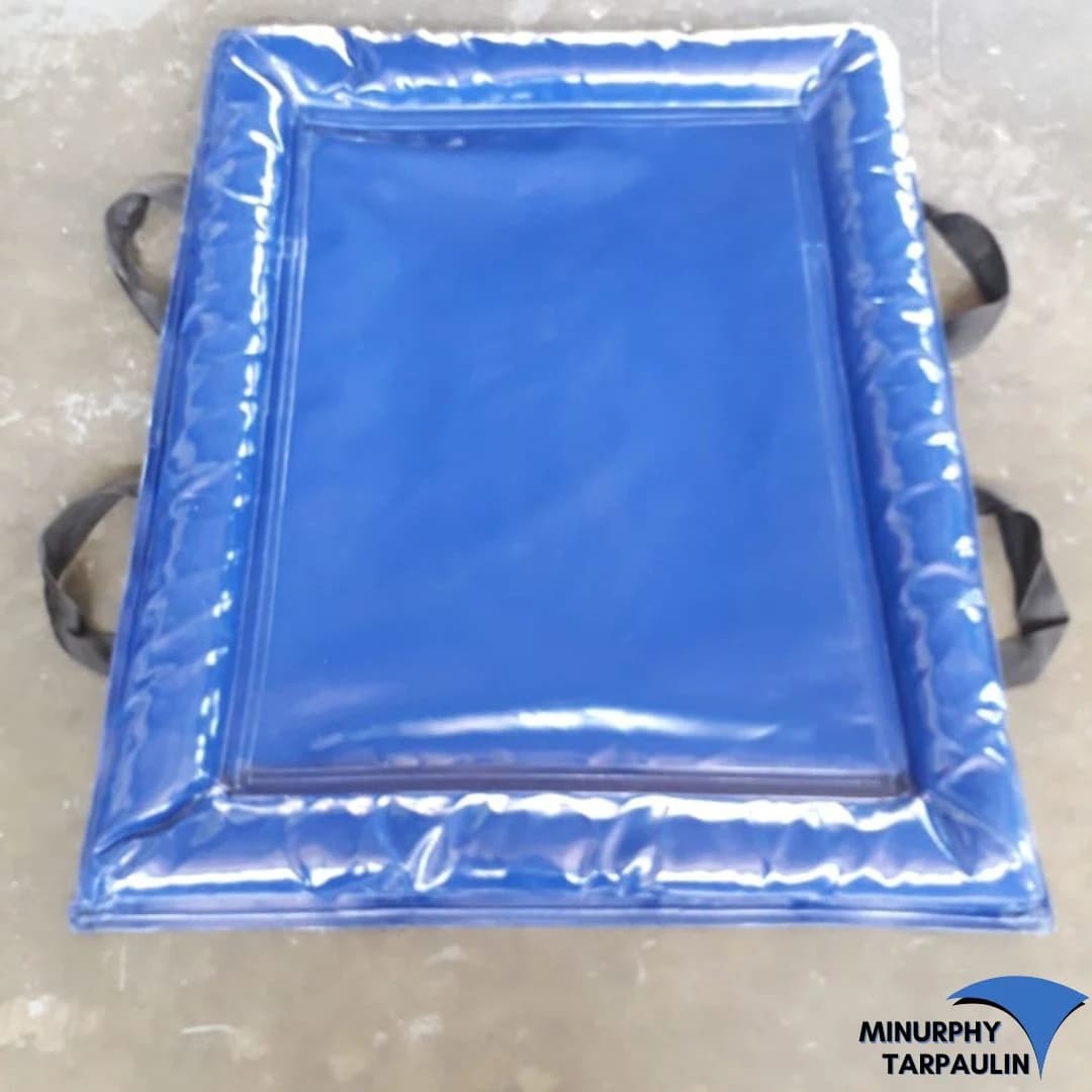 Custom blue PVC foot sponge disinfection mat with carry straps, used at farm and food-processing entrances