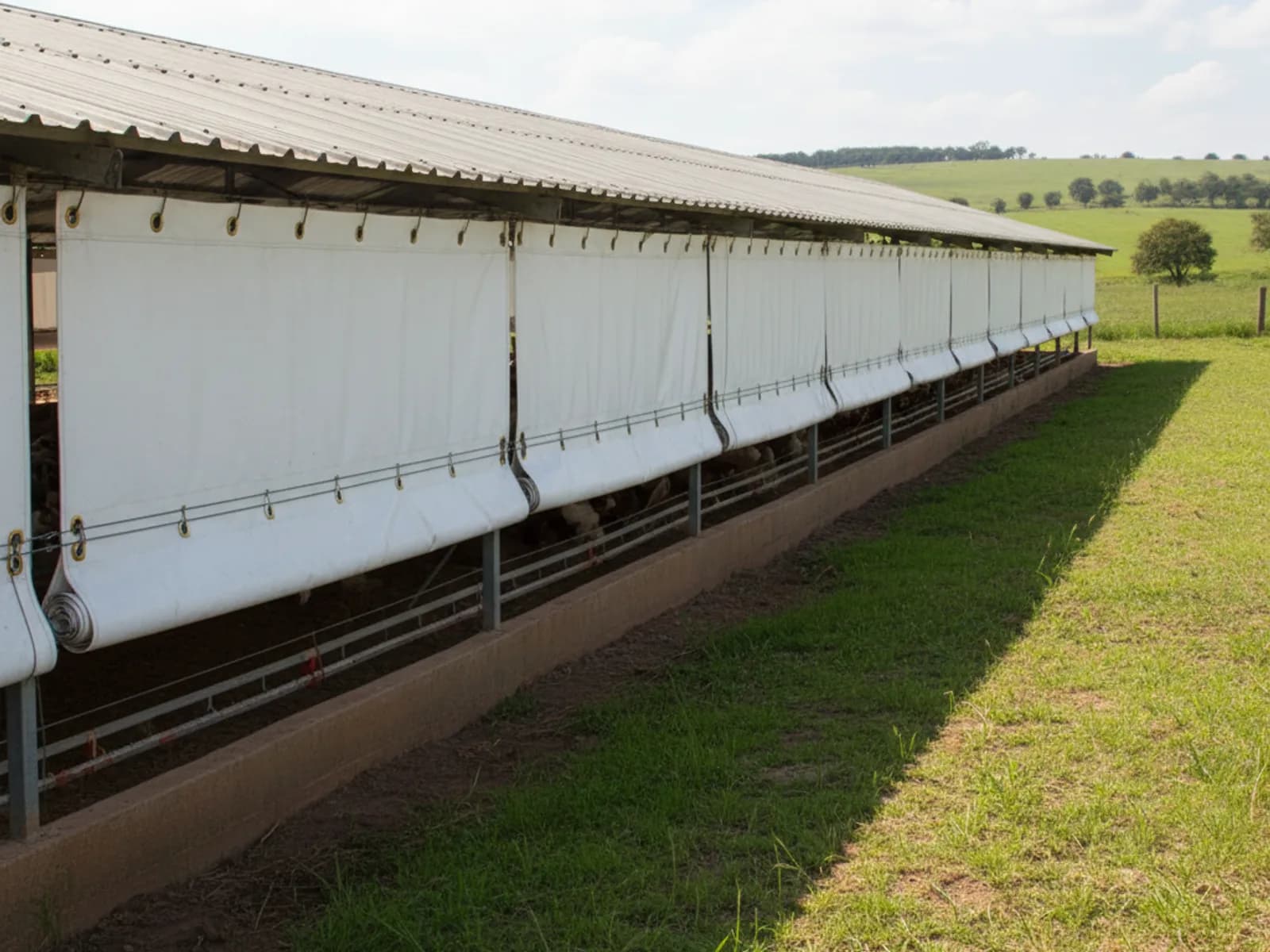 Row of Minurphy PVC curtains rolled up along a poultry house in KZN